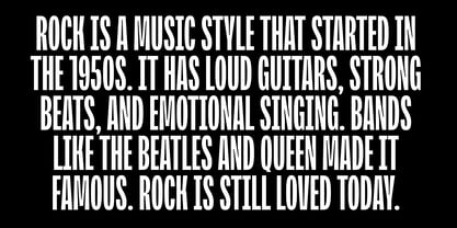 BBKV Polanik Font Poster 13