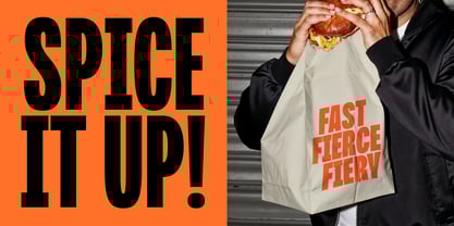 BBKV Polanik Font Poster 4