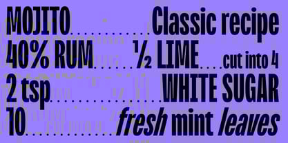 BBKV Polanik Font Poster 7