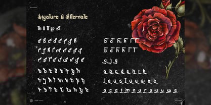 Meviat Gothic Font Poster 5