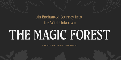 WT Nelsone Font Poster 11