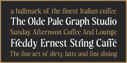 WT Nelsone Font Poster 5