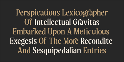 WT Nelsone Font Poster 3