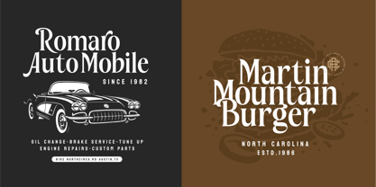 WT Nelsone Font Poster 8