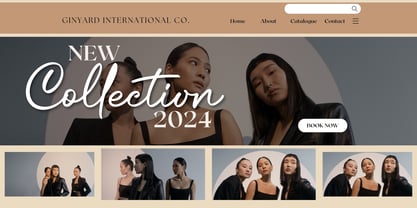 Austrian Cinamone Font Poster 7