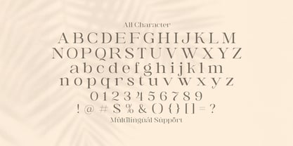 Awaken Font Poster 7