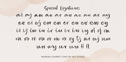 Morgan Journey Font Poster 8