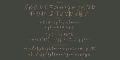 Love Grild Signature Font Poster 9