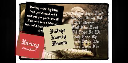 Snavirus Font Poster 14