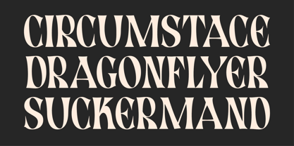 Gunday Font Poster 7