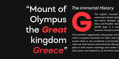 Refoke Font Poster 13