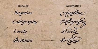 Elegant night Font Poster 10