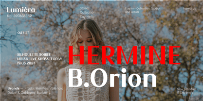 Nimora Font Poster 6