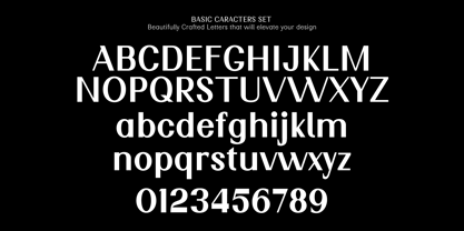 Nimora Font Poster 10