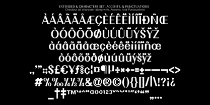 Nimora Font Poster 9