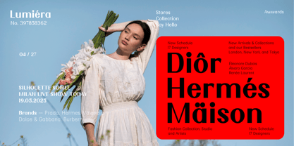 Nimora Font Poster 5