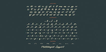 Outhlyn Funtica Font Poster 15