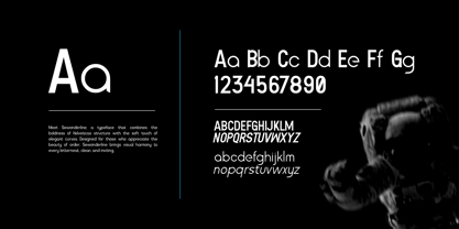 Sewonderline Font Poster 2