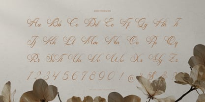 Mamylinus Font Poster 10
