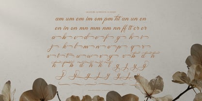 Mamylinus Font Poster 12