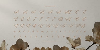 Mamylinus Font Poster 11