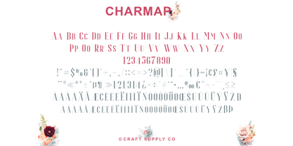 Espoir Serif Font Poster 6