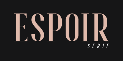 Espoir Serif Font Poster 1