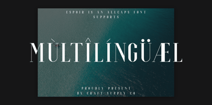 Espoir Serif Font Poster 5