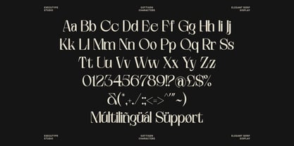 Gottigen Display Font Poster 13