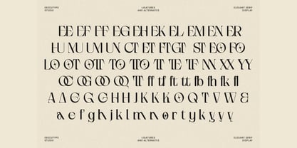 Gottigen Display Font Poster 14