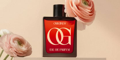 Gottigen Display Font Poster 9