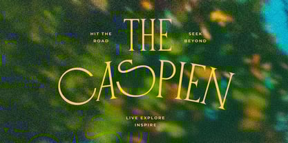 CCS Loviena Font Poster 4