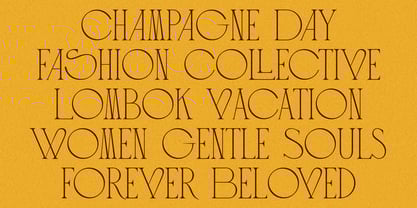 CCS Loviena Font Poster 3