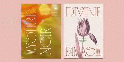 CCS Loviena Font Poster 8