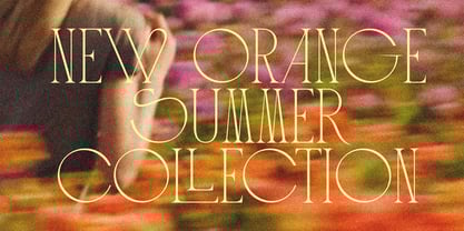 CCS Loviena Font Poster 15