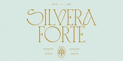 CCS Loviena Font Poster 13