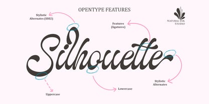 The Landing Shadow Font Poster 2