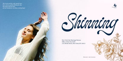 The Landing Shadow Font Poster 5