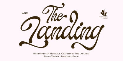 The Landing Shadow Font Poster 1