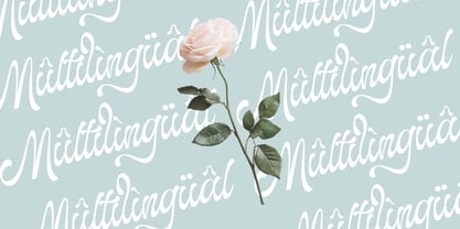 The Landing Shadow Font Poster 4