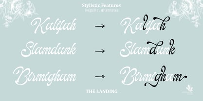 The Landing Shadow Font Poster 6