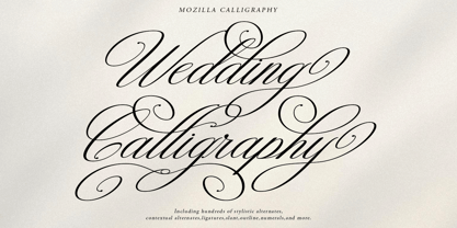 Mozilla Script Font Poster 8