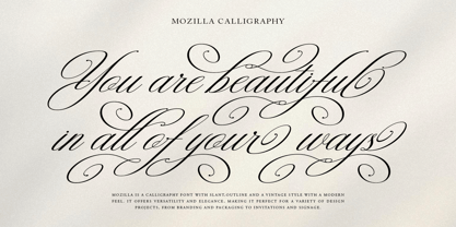 Mozilla Script Font Poster 12