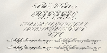 Mozilla Script Font Poster 9