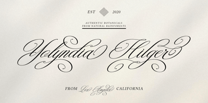 Mozilla Script Font Poster 6