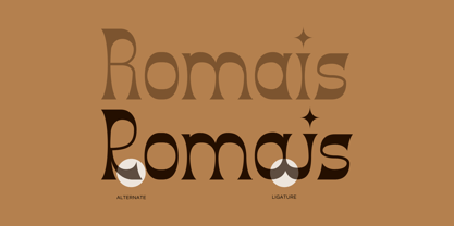 Roniolk Font Poster 3