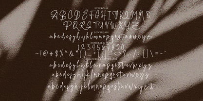 Renistian Signature Font Poster 10