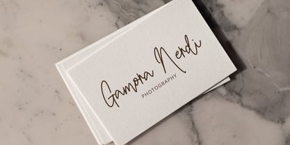 Renistian Signature Font Poster 8