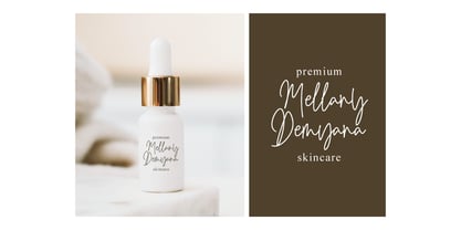 Renistian Signature Font Poster 7