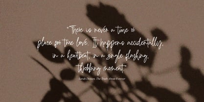 Renistian Signature Font Poster 6